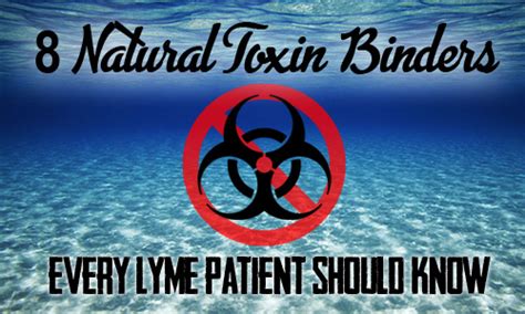 The toxin binders are made up of selected silicates, or yeast cell wall components, or both organic acids and surfactants. . Natural toxin binder